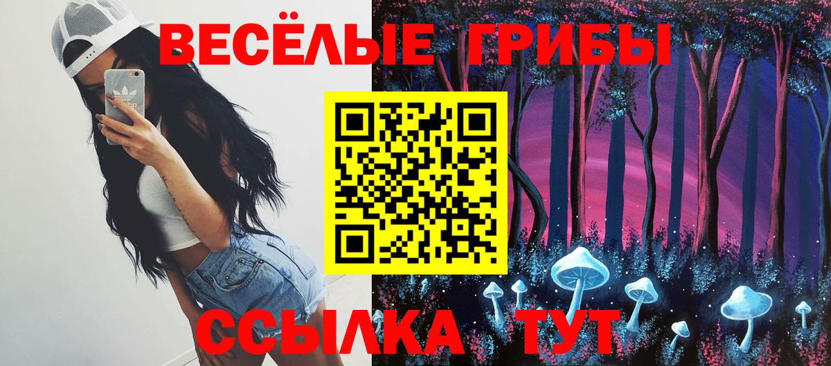 Коряжма  Псилоцибиновые грибы GOLDEN TEACHER  Вход с VPN 